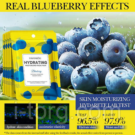 Зволожуюча маска з чорницею FAYANKOU, 25г., фото 2