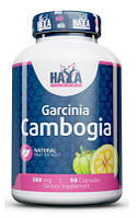 Харчова добавка Haya Labs  Garcinia Cambogia 500 мг 90 капсул