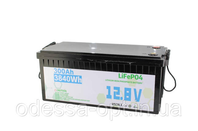 Акумулятор lifepo4 12.8V 300A, фото 1