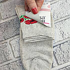 Шкарпетки жіночі середні весна/осінь р.35-39 маки НОВА ЛІНІЯ 30039436, фото 2