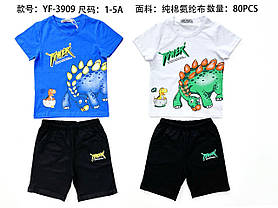 Набір-двійка для хлопчиків оптом, Sincere, 1-5 рр., арт. YF-3909