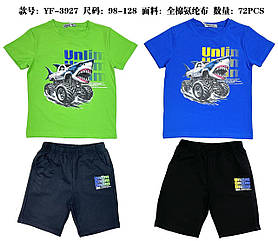 Набір-двійка для хлопчиків оптом, Sincere, 98-128 рр., арт. YF-3927