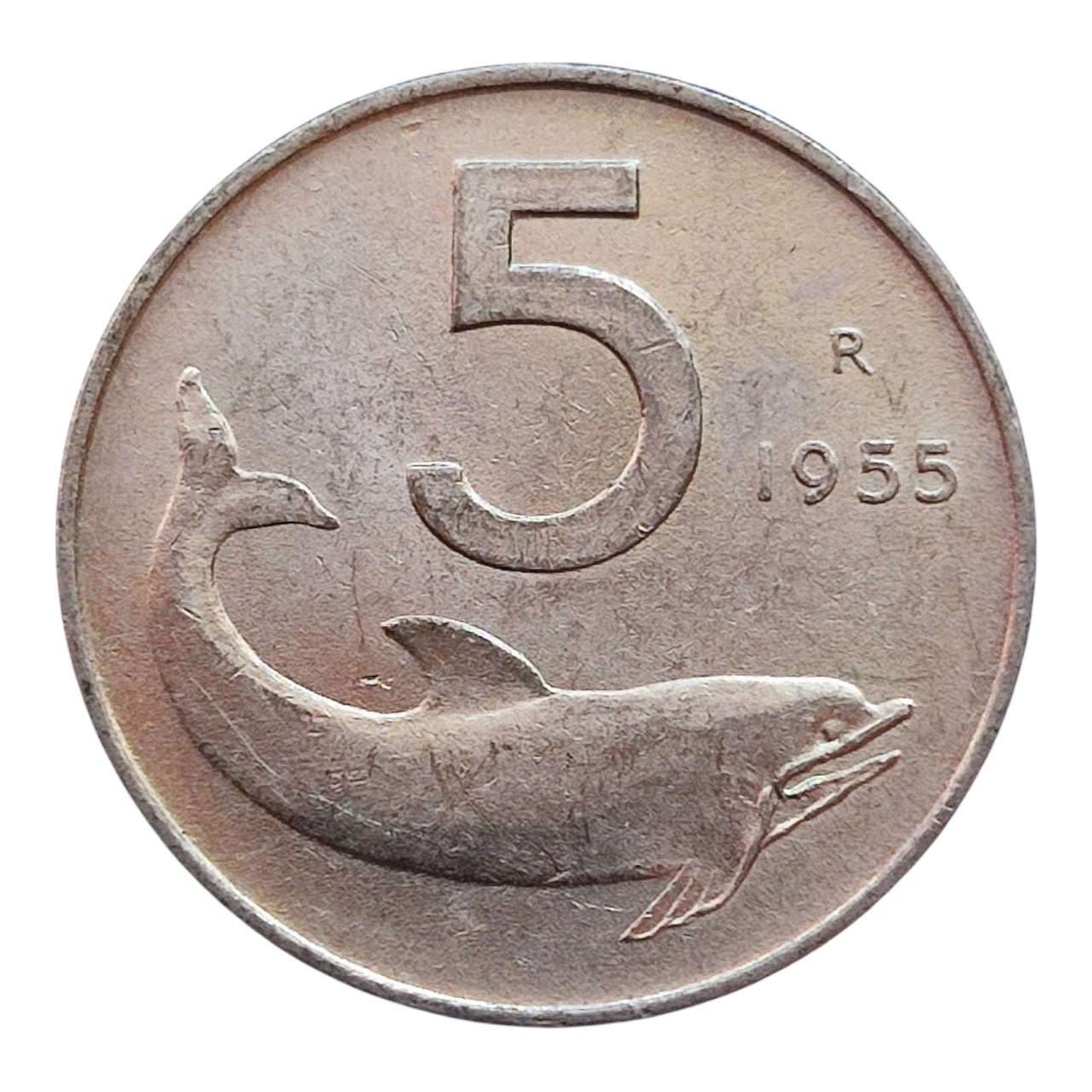 Італія 5 лір, 1955