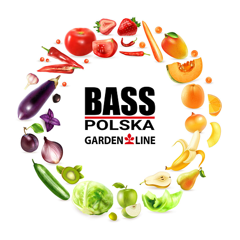Садова плівка для теплиці без каркасу 18 м2 (6 х 3 х 2 м) BASS POLSKA, UV-12, Прозора, фото 3