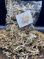 Ісландський мох