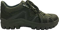Кросівки тактичні In-Tactic Pro LW olive, фото 4