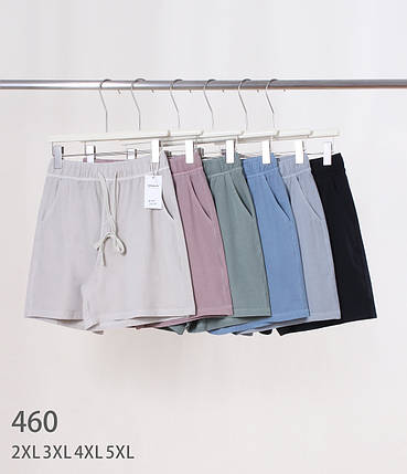 Шорти жіночі котон №460 р.2XL, 3XL, 4XL, 5XL, фото 1
