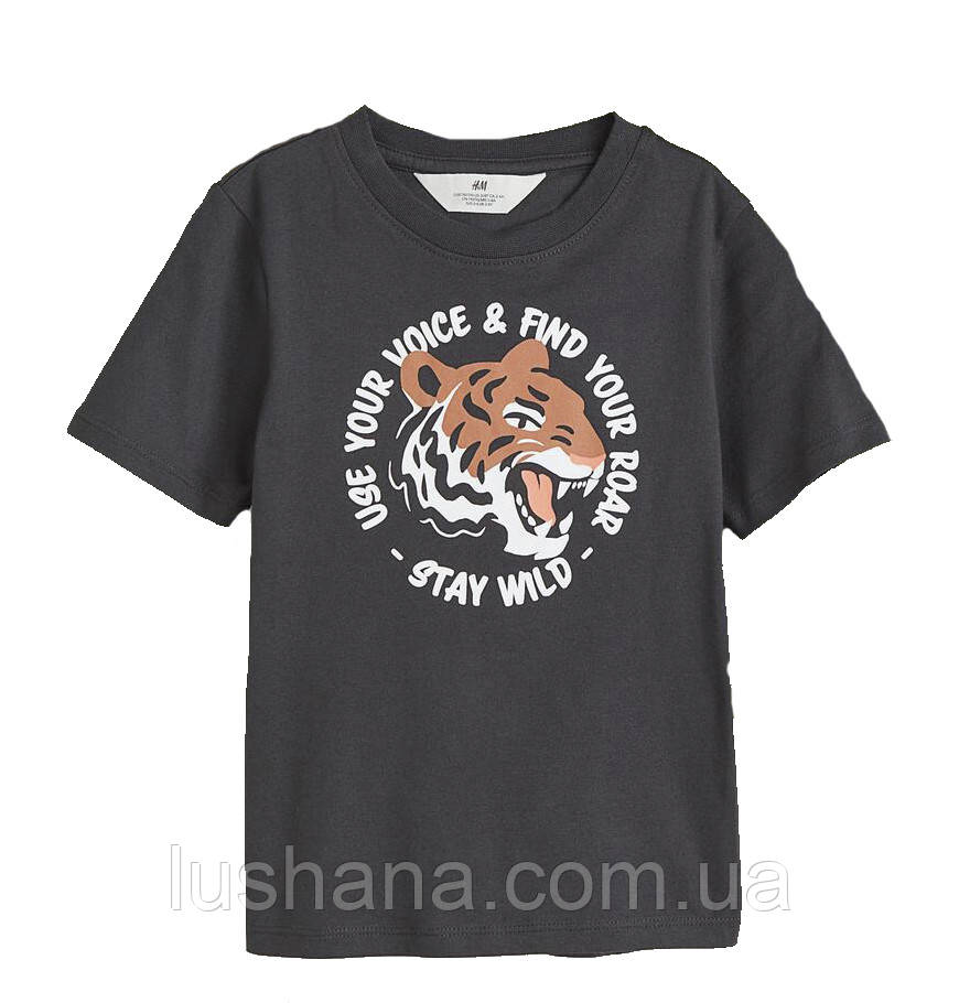 Дитяча футболка H&M на хлопчика р.110-116