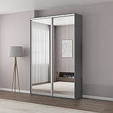 Шафа купе 2 двері 160 х 60 х 210 см N5, фото 7