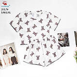 Трикотажна піжама 505, фото 2