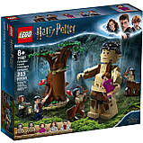 LEGO Harry Potter 75967 Грох і Долорес Амбридж, фото 3