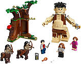 LEGO Harry Potter 75967 Грох і Долорес Амбридж, фото 4