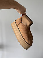 Dipper mini Chestnut