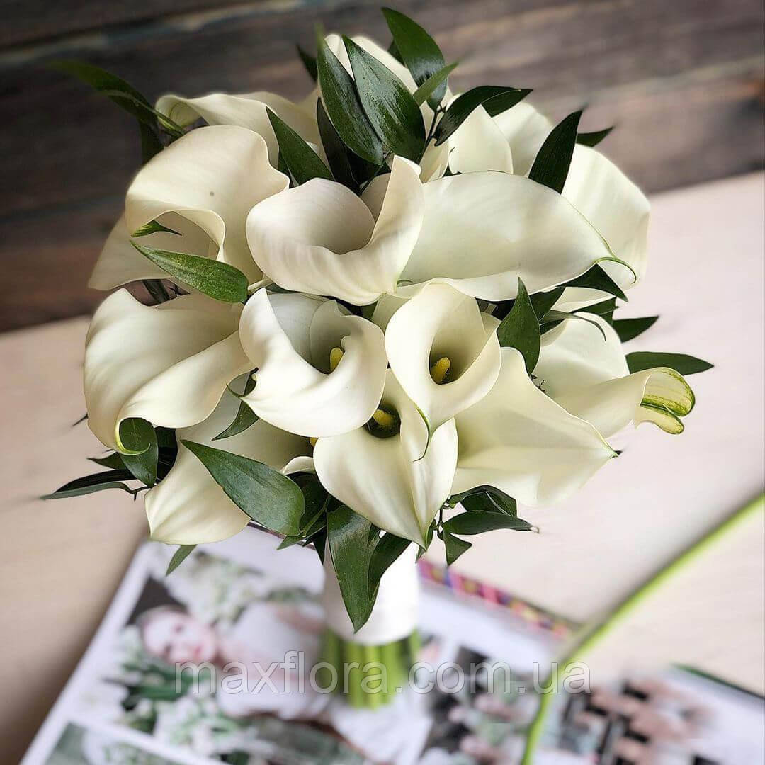 Калла White Mambo 16/18, фото 1