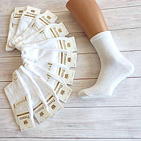 Шкарпетки чоловічі Premio класика білі  42-45  | 12 пар