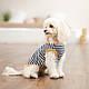 Борцівка Kale ТМ Pet Fashion для собак S смугаста (*), фото 4
