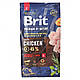 Сухий корм Brit Premium Dog Adult L для дорослих собак великих порід, з куркою, 8 кг (*), фото 4