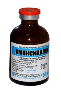 Амоксицилін Фарматон суспензія для ін'єкцій, 50 мл