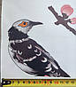 Вінілові наклейки BRUP Птахи біля сакури (лист 60 х 90 см) Б267-4, фото 8