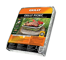 Одноразовий мангал Гриль 25 на 32 см різнобарвний