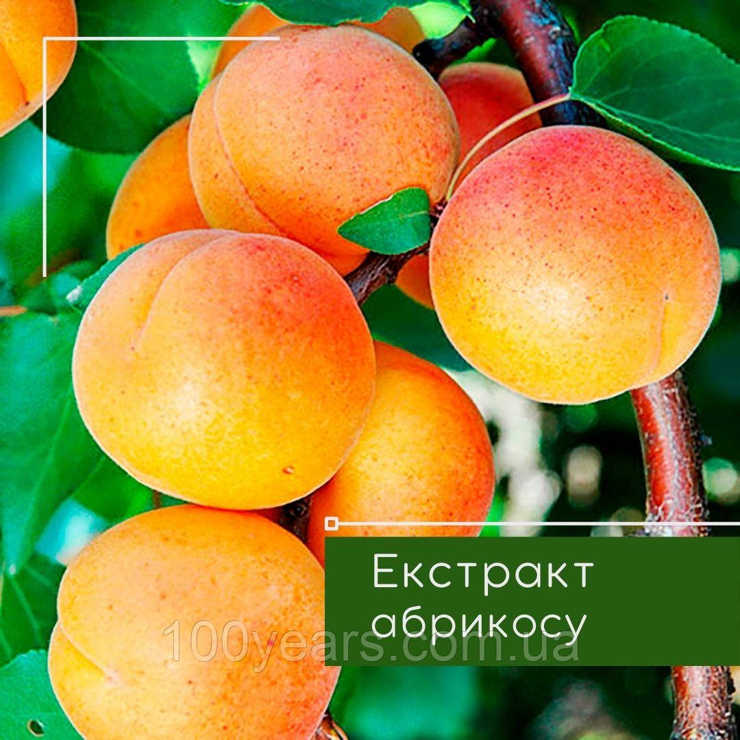 Екстракт абрикосу 50 мл