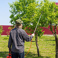 Чим обробляти сад весною?