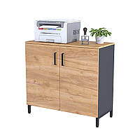 Тумба офісна LT-900-830 ніжки метал чорний, корпус ДСП Антрацит фасад ДСП (Loft DesignTM)