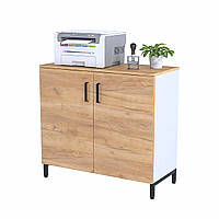 Тумба офісна LT-900-830 ніжки метал чорний, корпус ДСП Білий фасад ДСП (Loft DesignTM)