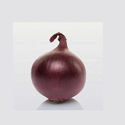 Цибуля сівок Ред Барон Broer B.V. 100г. 10-21мм (1820492381)