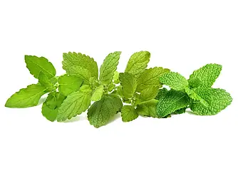 Змінний картридж Click & Grow Заспокійливий чай мікс 9 капсул