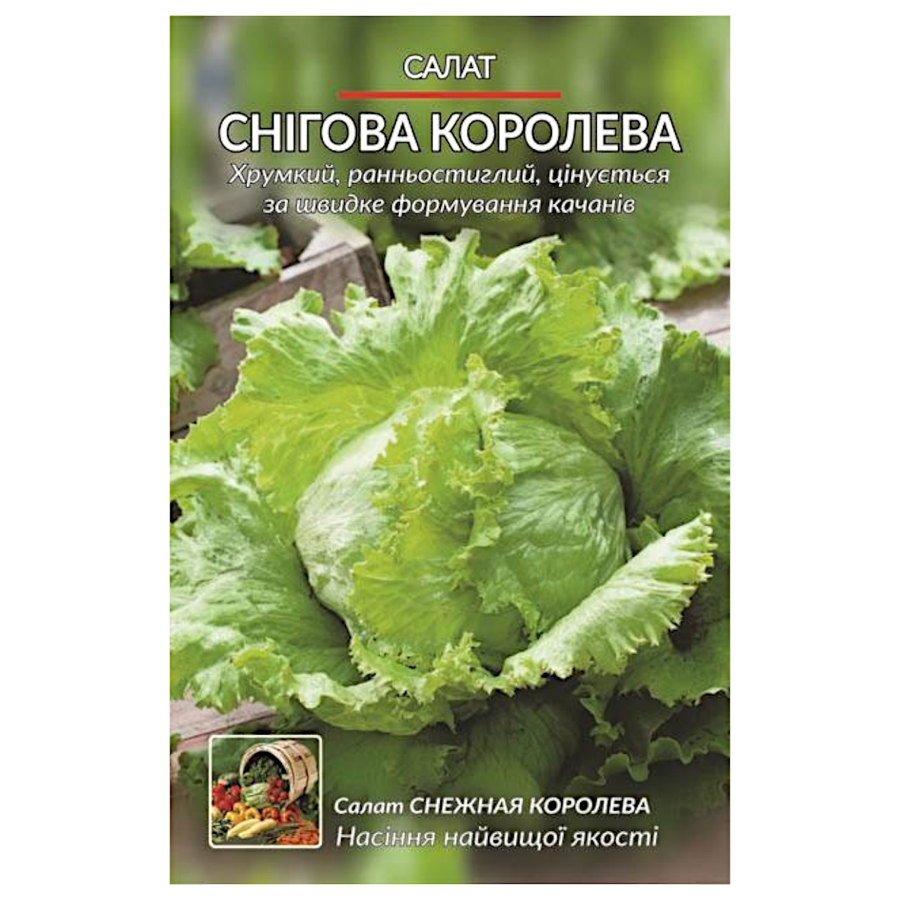 Насіння Салат Снігова королева качаний ранньостиглий 5 г великий пакет