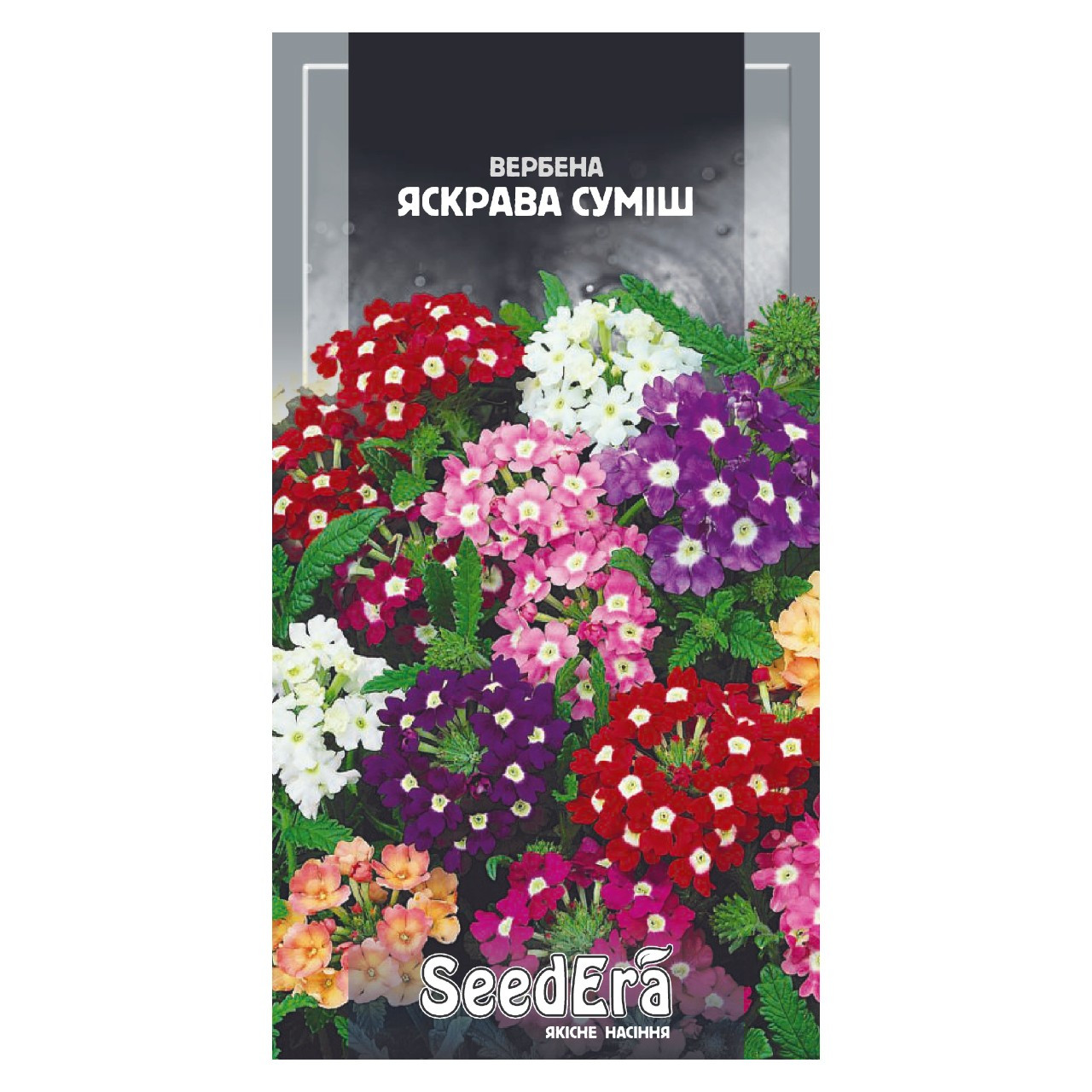 Насіння Вербена гібридна Яскрава 0,2 г суміш однорічна