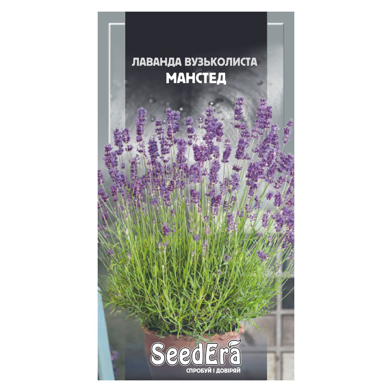 Насіння Лаванда англійська вузьколиста Манстед 0,1 г однорічна, фото 1