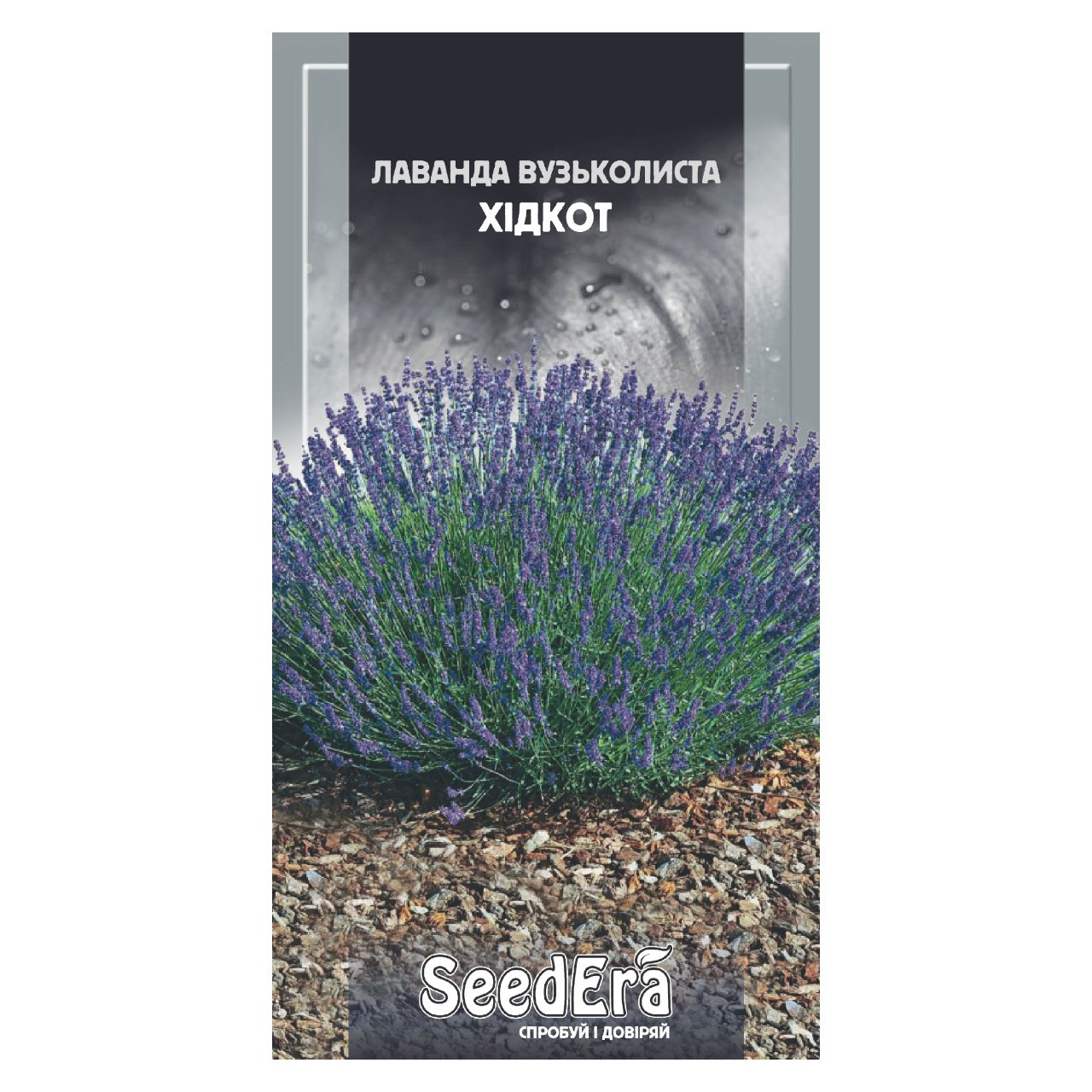 Насіння Лаванда англійська вузьколиста Хідкот 0,1 г однорічна, фото 1
