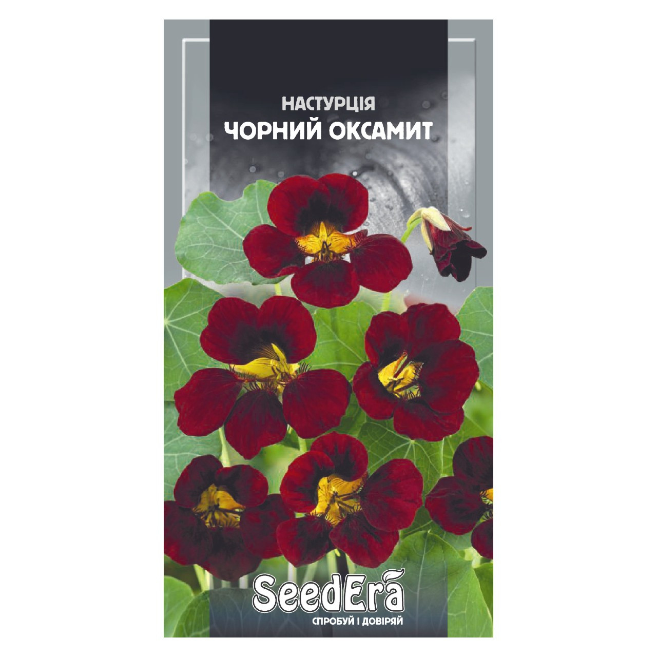 Семена Настурція культурна Чорний Оксамит 1 г однорічна