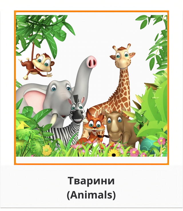 Тварини Animals