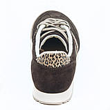Жіночі замшеві кеди шоколадного кольору з леопардовими вставками на шнурівці Frivoli F825-83-55Т розмір 36, фото 7