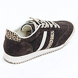 Жіночі замшеві кеди шоколадного кольору з леопардовими вставками на шнурівці Frivoli F825-83-55Т розмір 36, фото 8