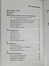 Євангельські істини. Особистий заклик до християнської єдності. Джон Стотт (рос.), фото 5