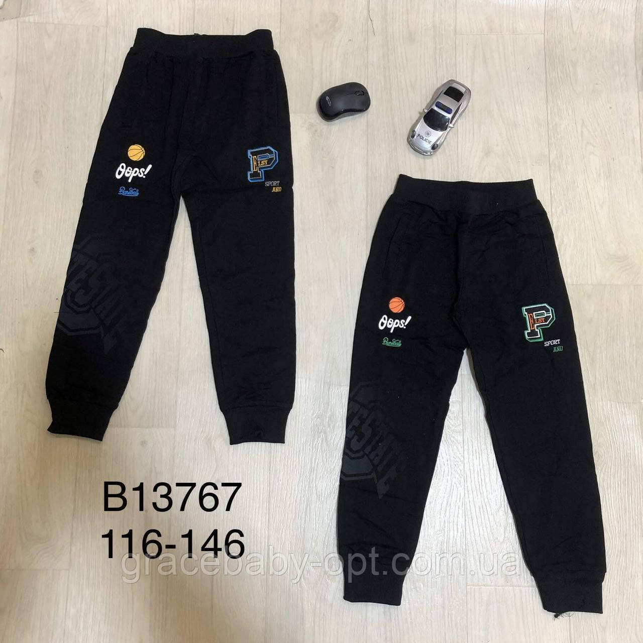 Спортивні штани для хлопчиків оптом, Grace, 116-146 см, No B13767, фото 1