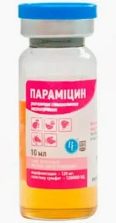 Парамицин раствор оральный, 10 мл