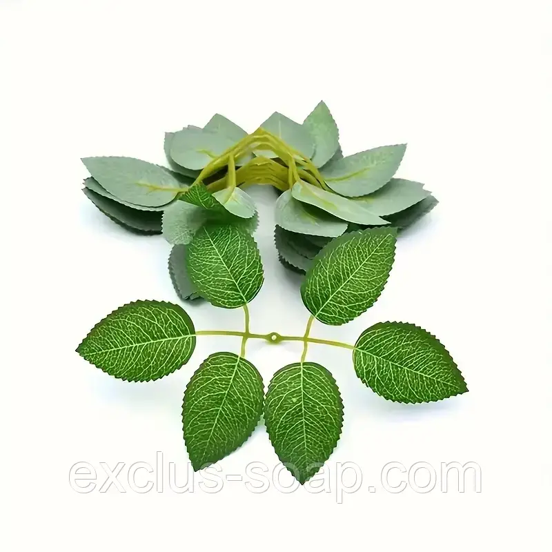 Листя троянд, фото 1