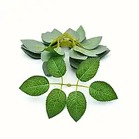 Листя троянд