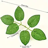 Листя троянд, фото 2