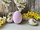 Яйце з пластику 9.5 х 7 см бузкове, фото 4