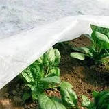 Агроволокно біле. 30 г/м2 щільність. 3.20 х 100 м. Для укриття рослин. "Агрокремінь" Україна, фото 4