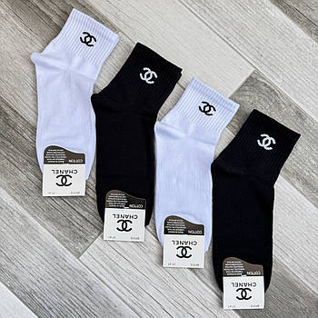 Шкарпетки жіночі демісезонні бавовна середні Chanel Tennis, розмір 37-41, асорті, 015-21
