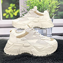 Кросівки жіночі Swin Shoes білі з сірим на об'ємній підошві демісезонні 4454, фото 2