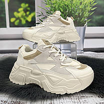 Кросівки жіночі Swin Shoes білі з сірим на об'ємній підошві демісезонні 4454, фото 3