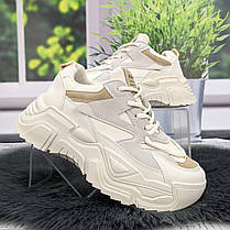 Кросівки жіночі Swin Shoes білі з сірим на об'ємній підошві демісезонні 4454, фото 4